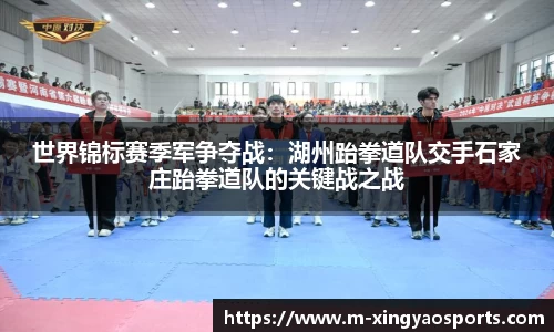 世界锦标赛季军争夺战：湖州跆拳道队交手石家庄跆拳道队的关键战之战